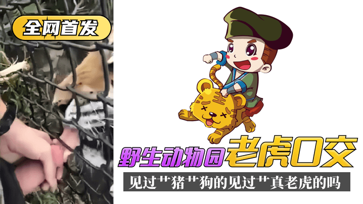 精品一区一区三区新区乱码