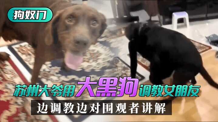 日韩电影一区在线观看